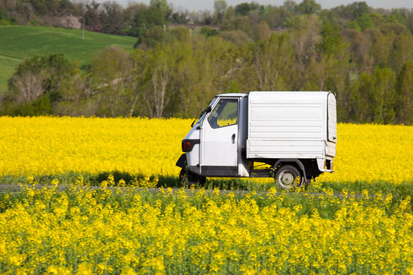 Consumers Benefit From Increased Hybrid and Electric Car Choices